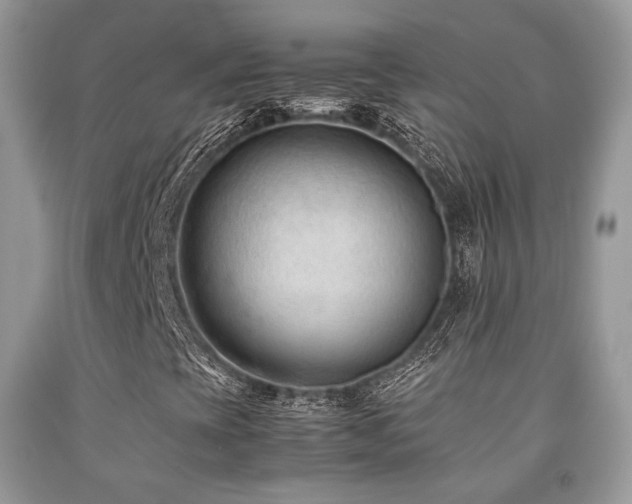X0000092251393200709141138