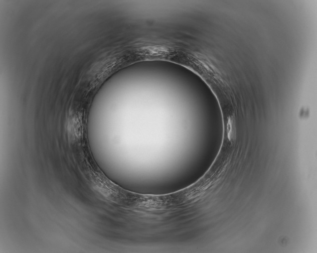 X0000092251395200709141138
