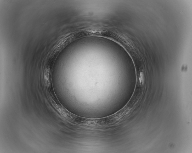 X0000092251396200709141138