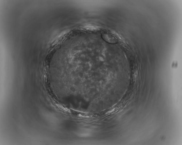 X0000092251397200709141138