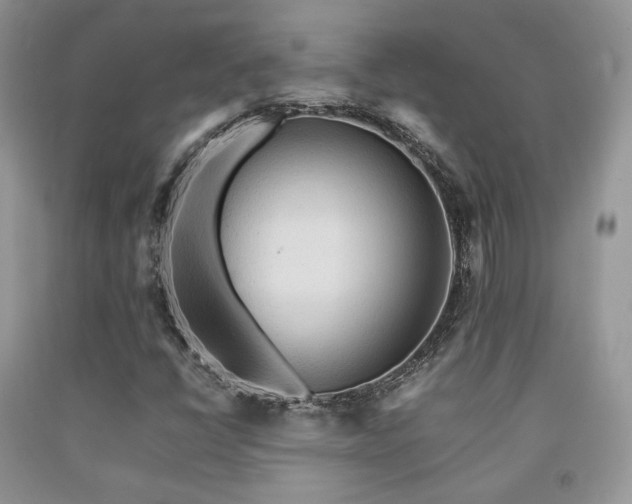 X0000092251398200709141138
