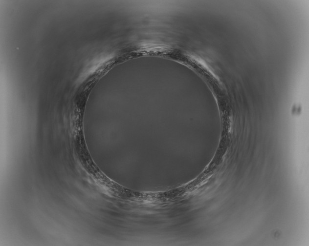 X0000092251399200709141138