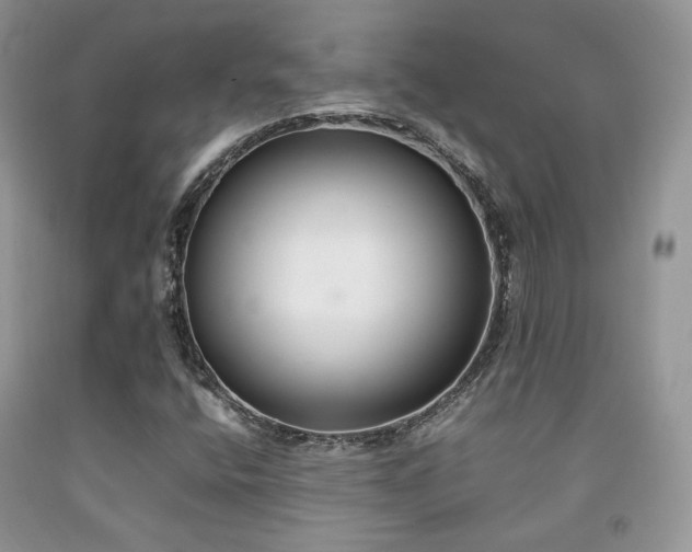 X0000092251400200709141138