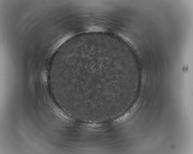 X0000092251401200709141138