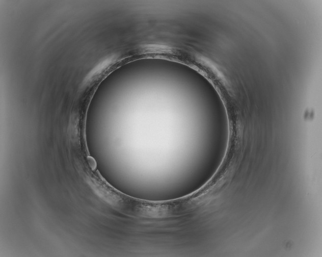 X0000092251403200709141138