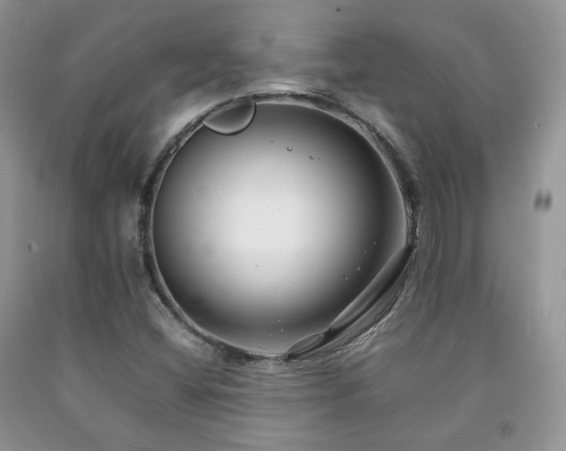 X0000092251404200709141138