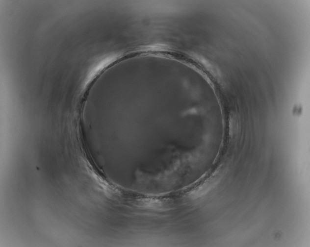 X0000092251405200709141138