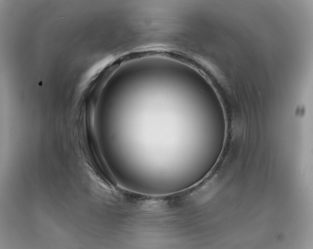X0000092251406200709141138