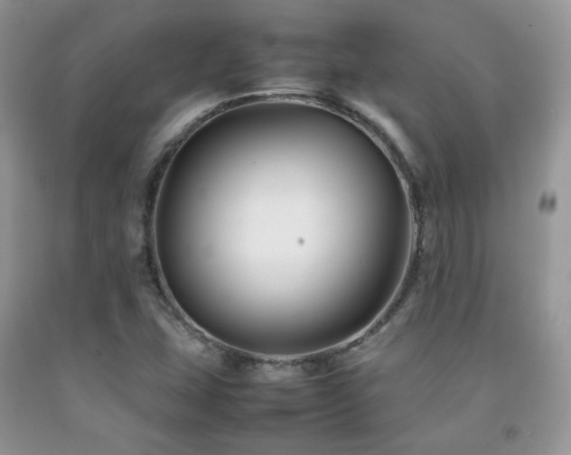 X0000092251407200709141139