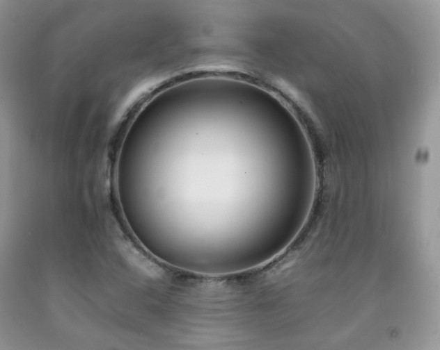 X0000092251408200709141139