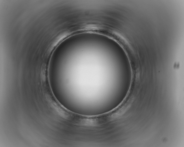 X0000092251409200709141139