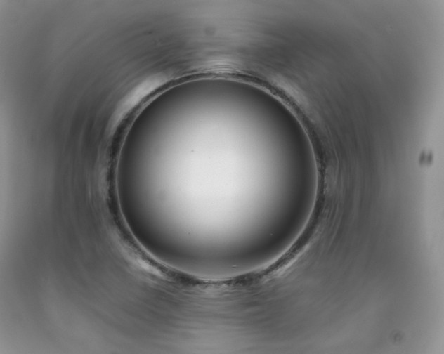 X0000092251410200709141139