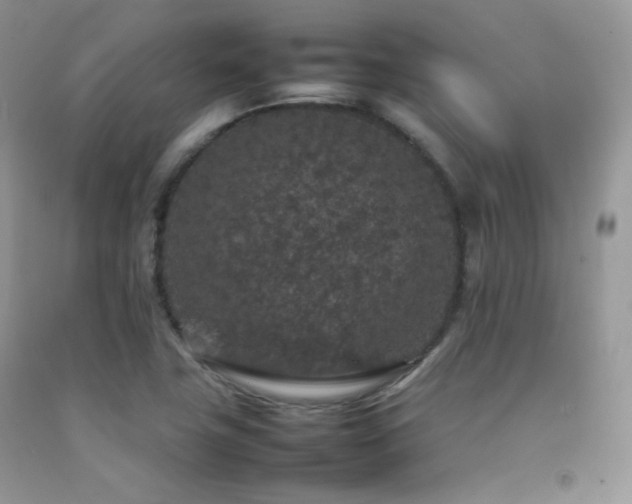 X0000092251411200709141139