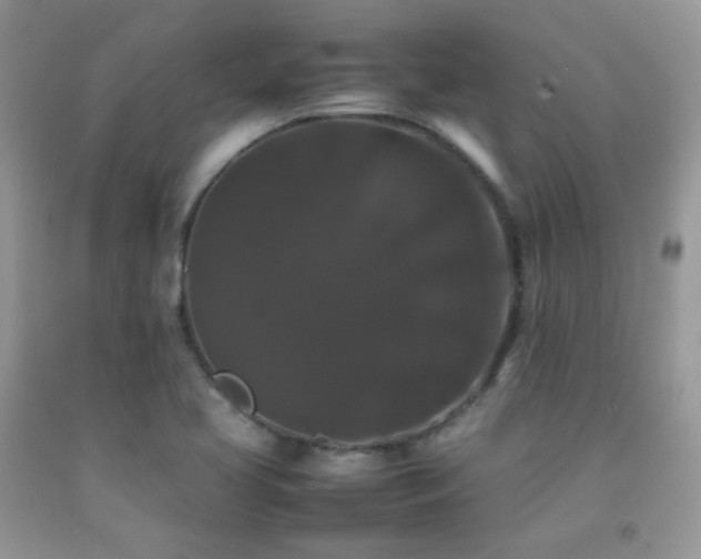 X0000092251413200709141139