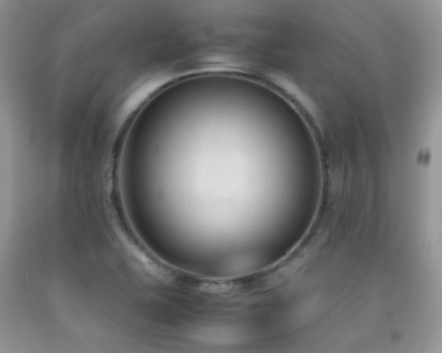 X0000092251415200709141139