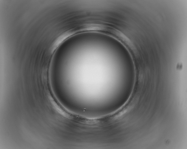 X0000092251417200709141139