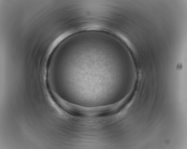 X0000092251418200709141139