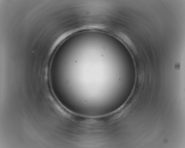 X0000092251420200709141139