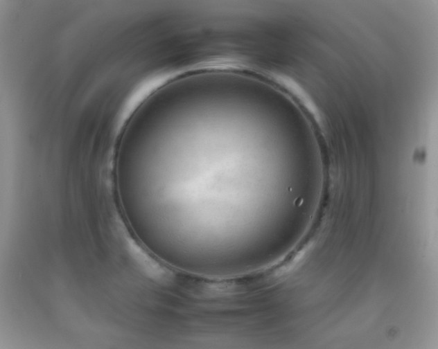 X0000092251421200709141139