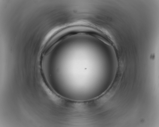 X0000092251422200709141139
