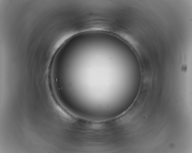 X0000092251423200709141139
