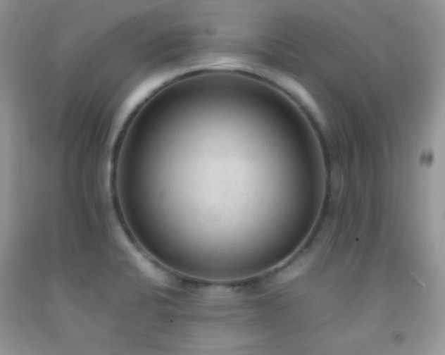 X0000092251424200709141139