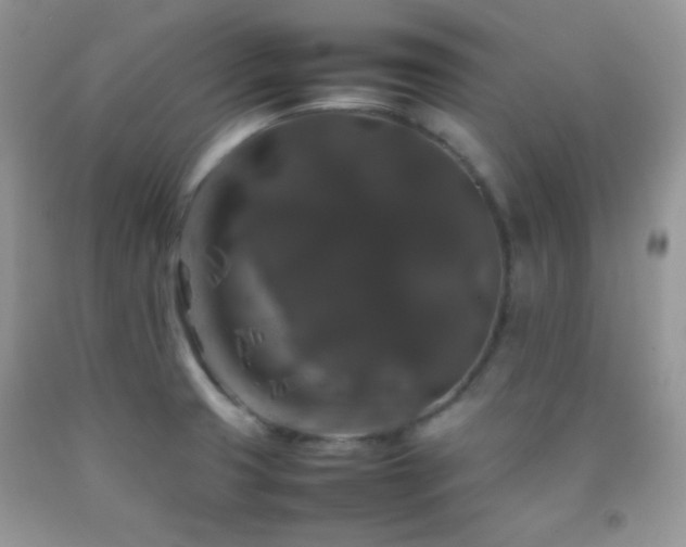 X0000092251425200709141139