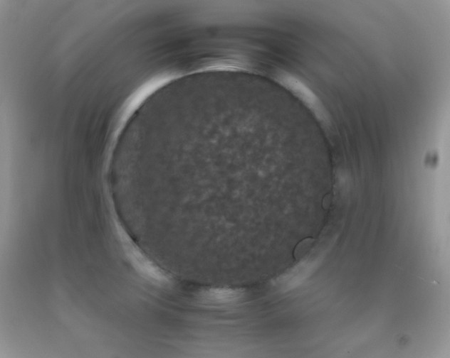 X0000092251427200709141139
