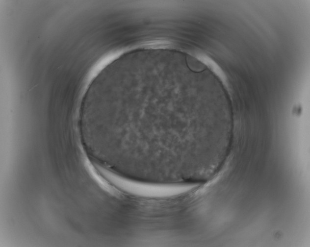 X0000092251429200709141139