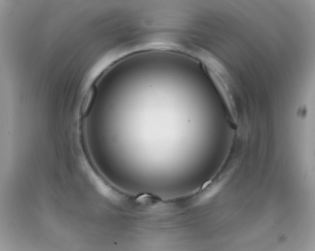 X0000092251430200709141139