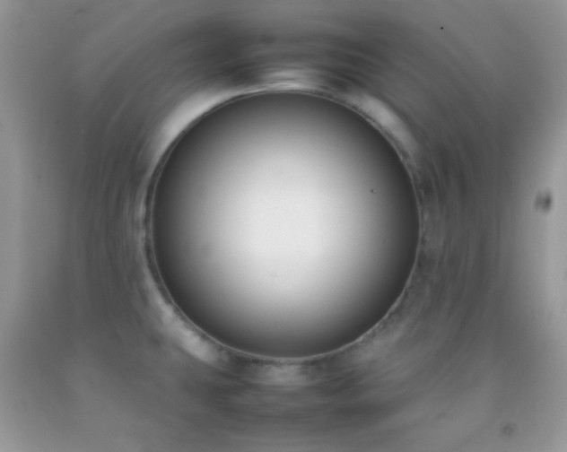 X0000092251431200709141139