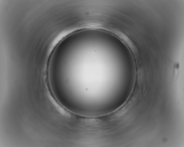 X0000092251432200709141139