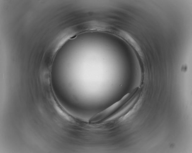 X0000092251433200709141139