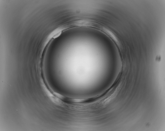 X0000092251434200709141139