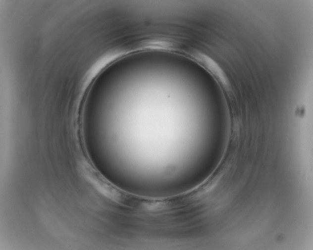 X0000092251435200709141139
