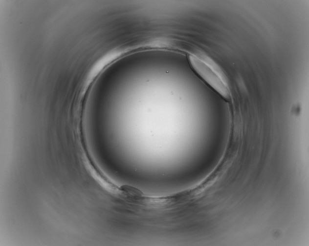 X0000092251437200709141139
