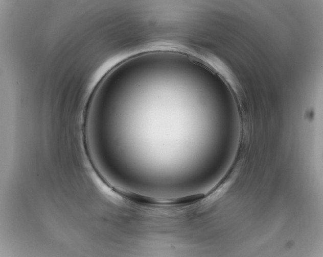 X0000092251438200709141139