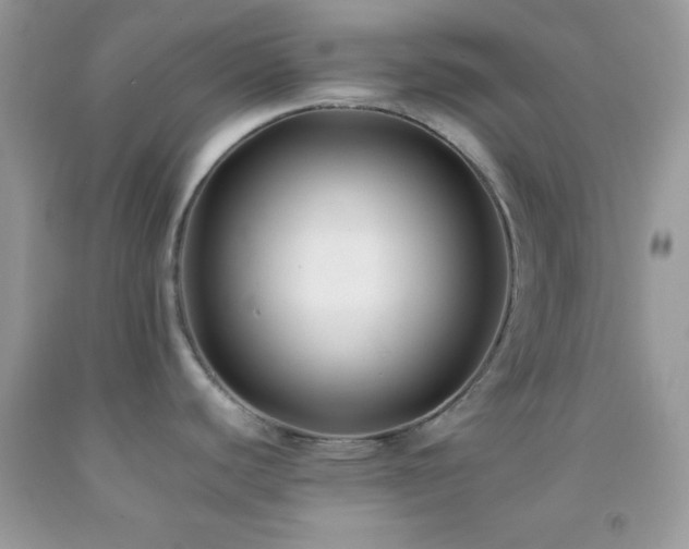 X0000092251440200709141139