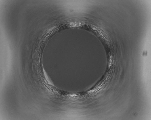 X0000092251441200709141138