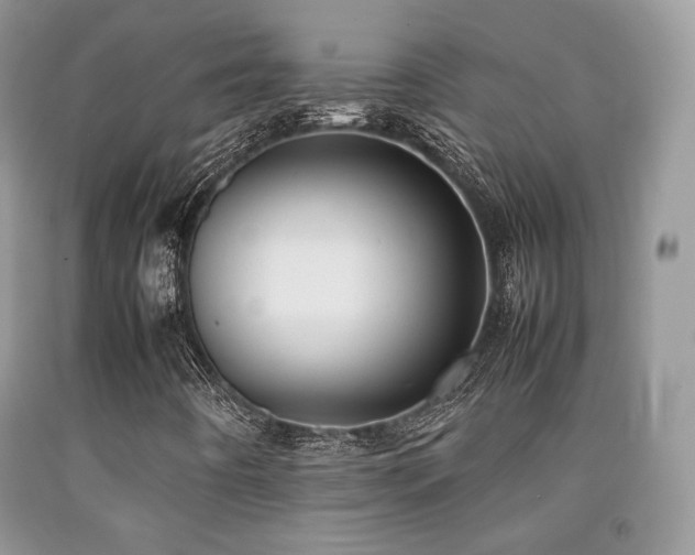 X0000092251442200709141138