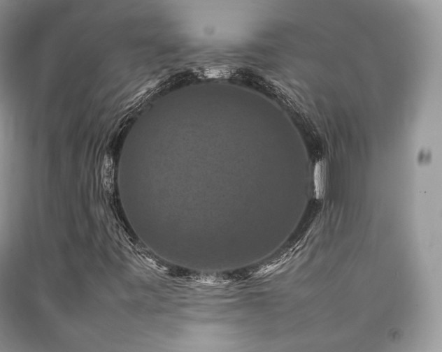X0000092251443200709141138