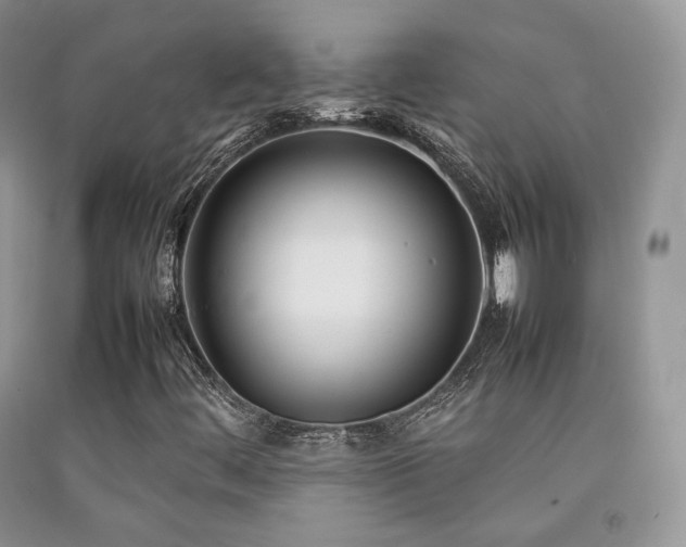 X0000092251444200709141138