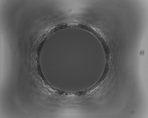 X0000092251445200709141138