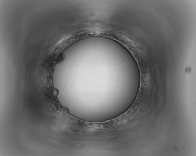 X0000092251446200709141138