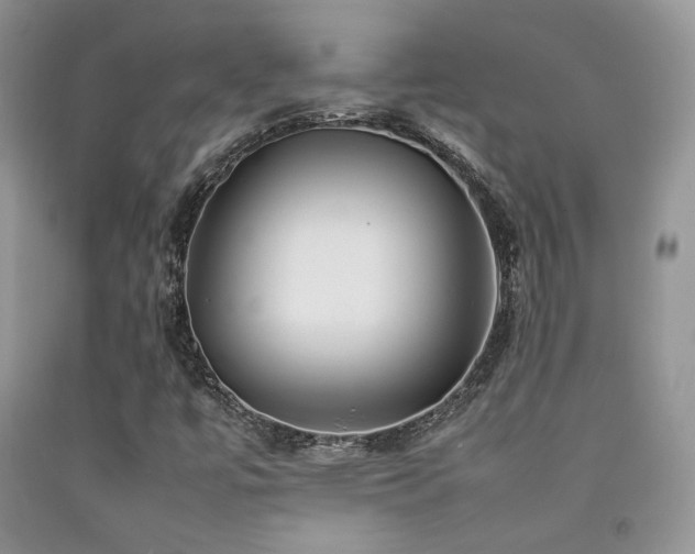 X0000092251447200709141138