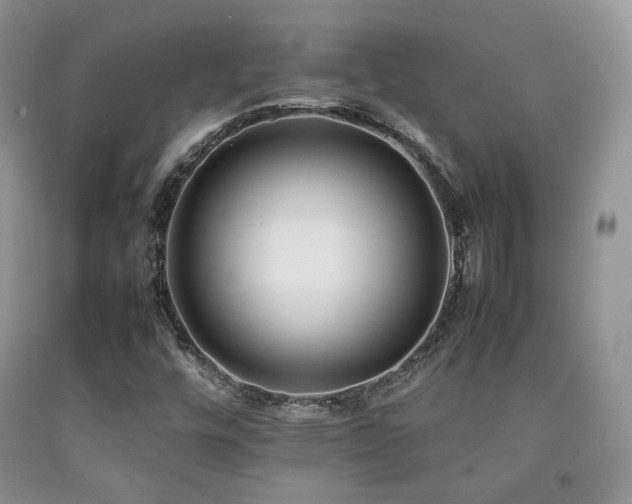X0000092251448200709141138