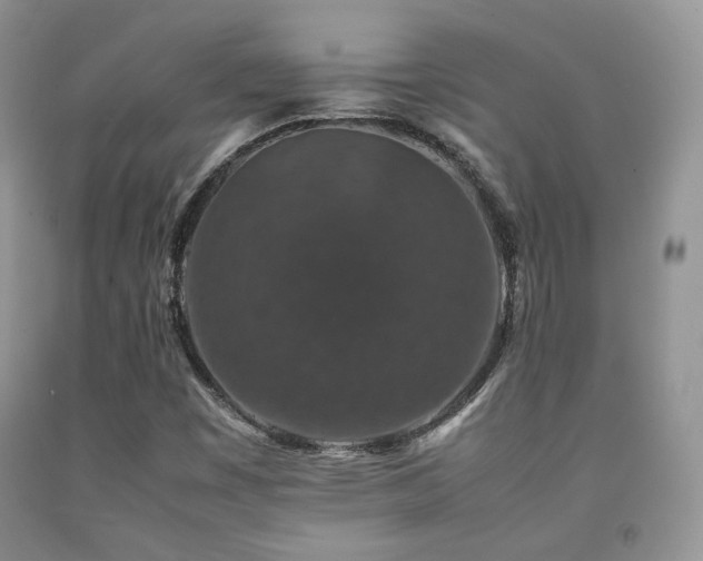X0000092251449200709141138