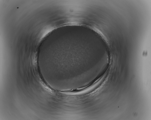 X0000092251450200709141138