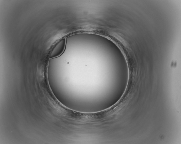 X0000092251451200709141138