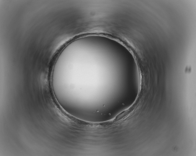 X0000092251452200709141138